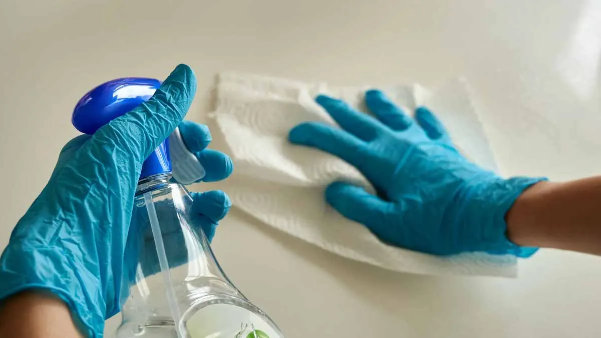 Dolda faror i köket — var bakterierna gömmer sig