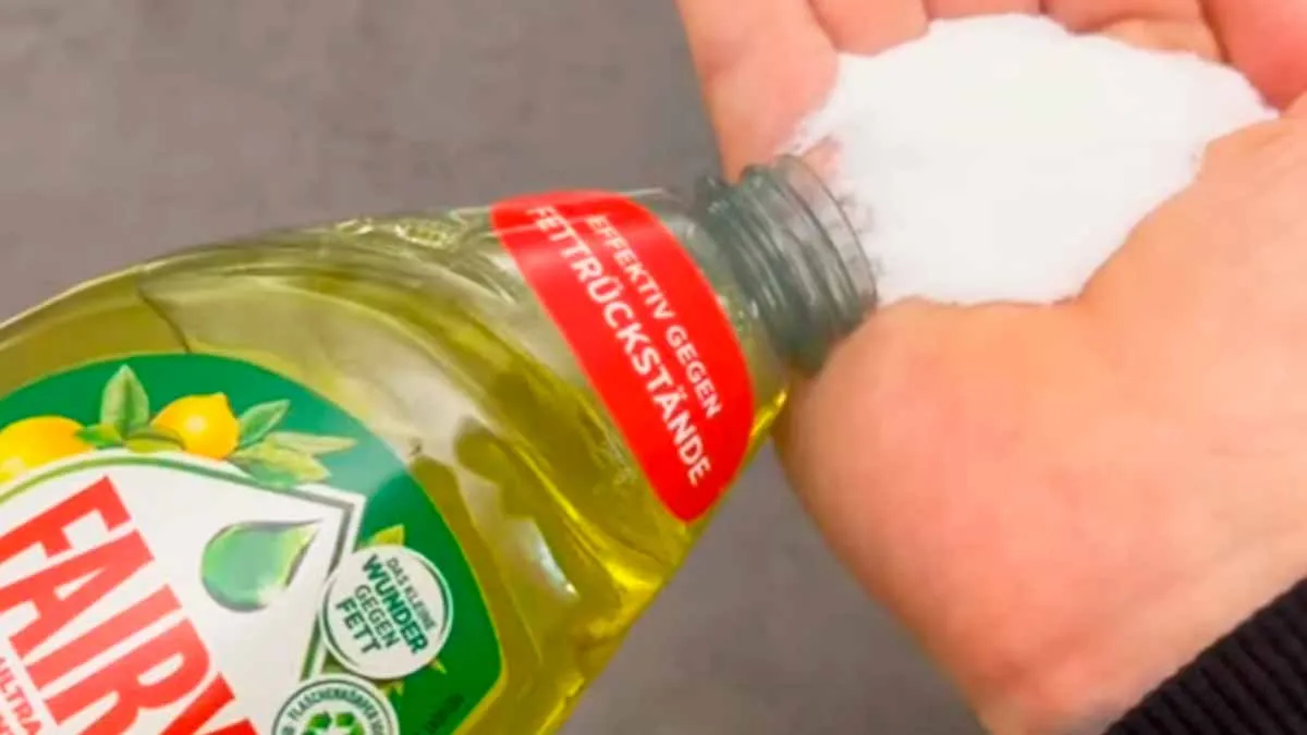 Det miljövänliga husmorstipset: salt i diskmedel