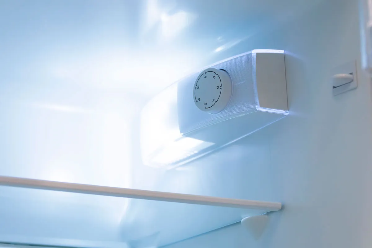 Hur kylskåpsratten funkar — och varför du borde bry dig