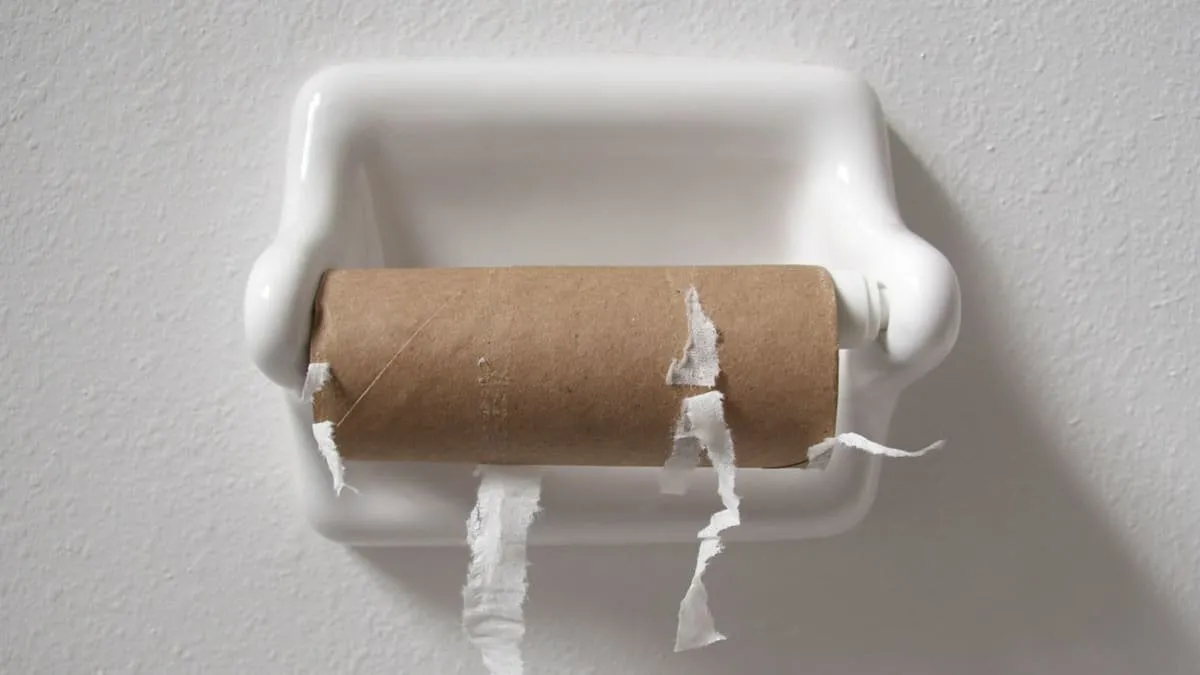 Toalettpapperseran går mot sitt slut i Tjeckien — allt fler väljer ett mer effektivt alternativ