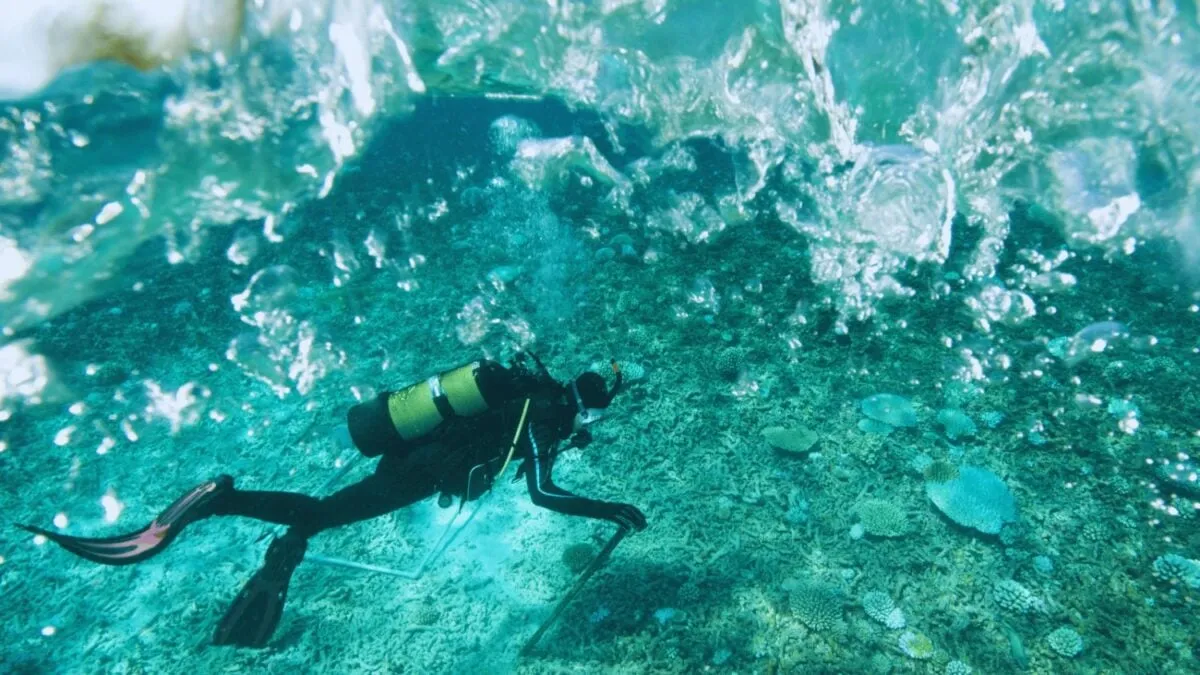 Upptäckten av Alexandrias fyr : antik historia får nytt liv